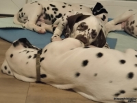 IMG_20250218_204703_web