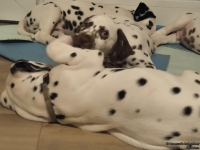 IMG_20250218_204705_web