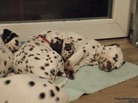 IMG_20250218_204721_web