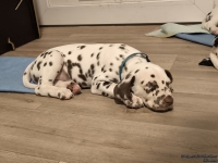 IMG_20250218_204740_web