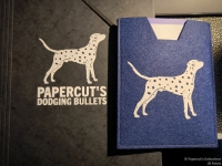 IMG_20250219_104548_web