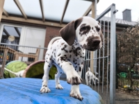 IMG_20250220_155229_web