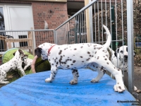 IMG_20250220_155237_web