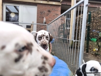 IMG_20250220_155240_web