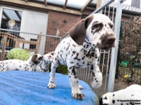 IMG_20250220_155245_web