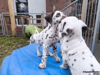 IMG_20250220_155257_web