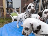 IMG_20250220_155258_web