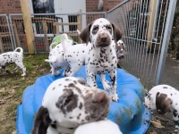 IMG_20250220_155306_web