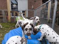 IMG_20250220_155307_web