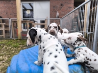 IMG_20250220_155308_web