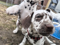 IMG_20250220_155312_web