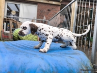 IMG_20250220_155330_1_web