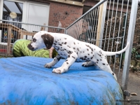 IMG_20250220_155330_web