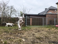 IMG_20250220_155337_2_web