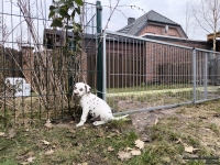 IMG_20250220_155348_web