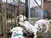 IMG_20250220_155356_1_web