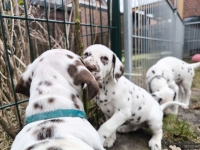 IMG_20250220_155357_web