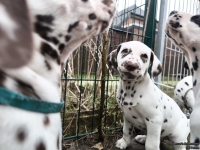 IMG_20250220_155358_web