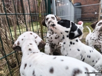 IMG_20250220_155403_web