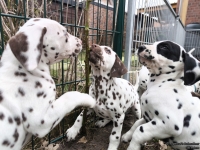 IMG_20250220_155404_web