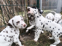 IMG_20250220_155405_web