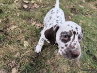 IMG_20250220_155409_1_web