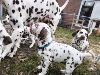 IMG_20250220_155412_web