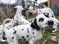 IMG_20250220_155413_1_web