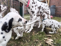 IMG_20250220_155413_web