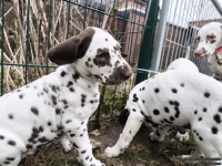 IMG_20250220_155420_web