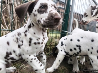 IMG_20250220_155421_web