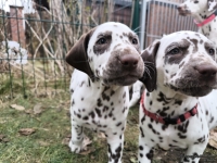 IMG_20250220_155422_1_web