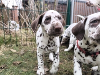 IMG_20250220_155422_web