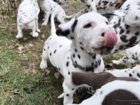 IMG_20250220_155425_web