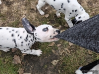 IMG_20250220_155429_web