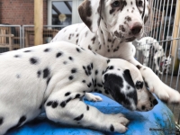 IMG_20250220_155512_web