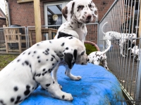 IMG_20250220_155514_1_web