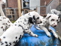 IMG_20250220_155514_web