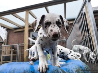 IMG_20250220_155520_1_web