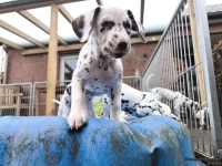 IMG_20250220_155520_web