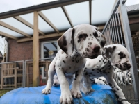 IMG_20250220_155522_web