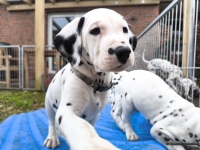 IMG_20250220_155524_1_web