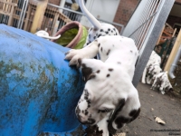 IMG_20250220_155527_1_web