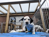 IMG_20250220_155540_1_web