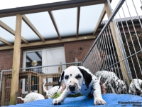 IMG_20250220_155540_web