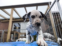 IMG_20250220_155541_web