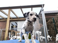 IMG_20250220_155542_web