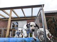 IMG_20250220_155543_web