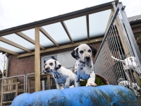 IMG_20250220_155544_web