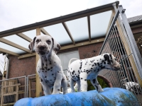 IMG_20250220_155545_1_web